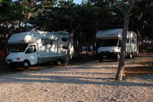 фото отеля Camping Planik