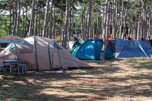 фото отеля Camping Planik