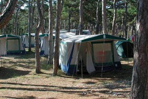 фото отеля Camping Planik