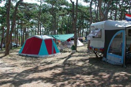 фото отеля Camping Planik