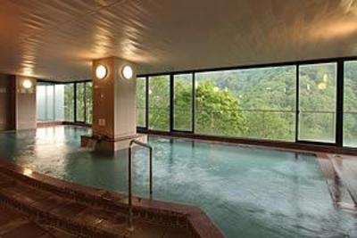 фото отеля Hotel Shiga Sunvalley