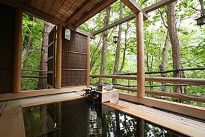 фото отеля Hotel Shiga Sunvalley
