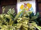 фото отеля Pousada Burundanga