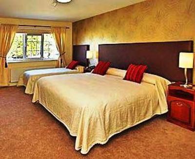 фото отеля Robeen House