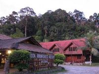 Kota Rainforest Resort