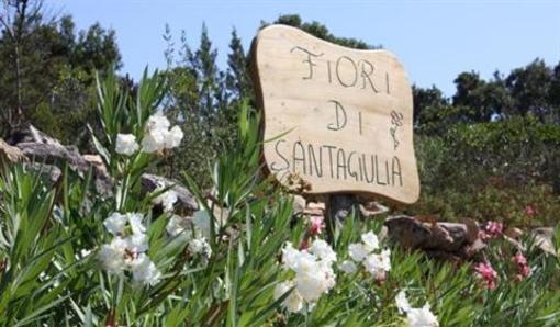 фото отеля Fiori Di Santa Giulia