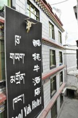 фото отеля Cool Yak Hotel