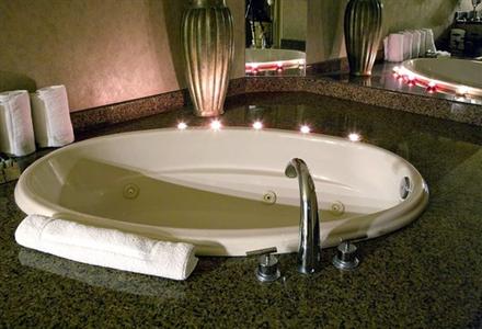 фото отеля Embassy Suites Phoenix-Scottsdale