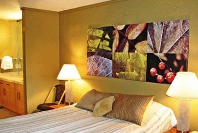 фото отеля Brockway Springs Resort