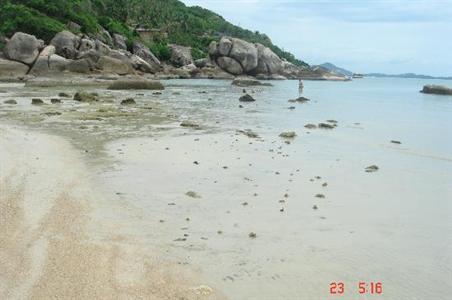 фото отеля Thongtakian Resort