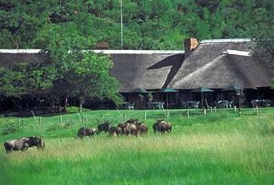 фото отеля Bakubung Bush Lodge