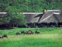 Bakubung Bush Lodge