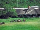 фото отеля Bakubung Bush Lodge