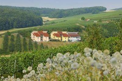 фото отеля Hotel Becksteiner Rebenhof Lauda-Konigshofen