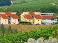 Hotel Becksteiner Rebenhof Lauda-Konigshofen