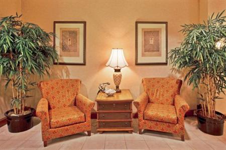 фото отеля Holiday Inn Express Hotel & Suites New Tampa I-75 Bruce B. Downs