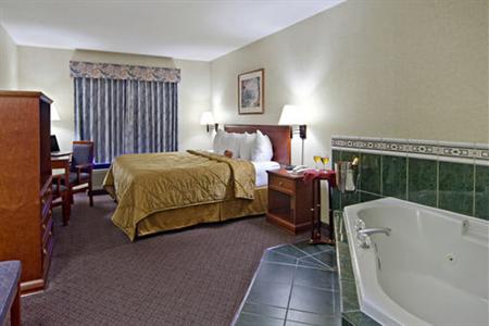 фото отеля Comfort Inn & Suites South