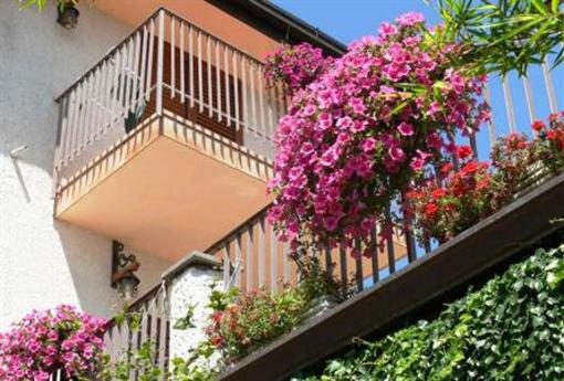 фото отеля Agriturismo Nonno Tobia