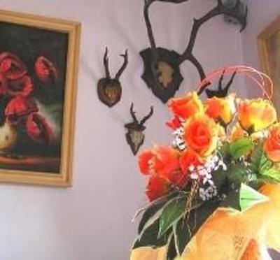 фото отеля Hotel Gosciniec Pod Róza