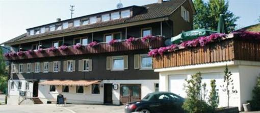 фото отеля Gasthof zum Ochsen