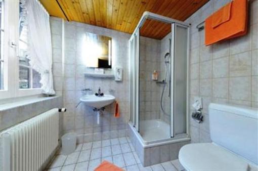 фото отеля Gasthof Frohsinn Flurlingen