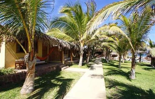 фото отеля Hotel Playa Palmeras