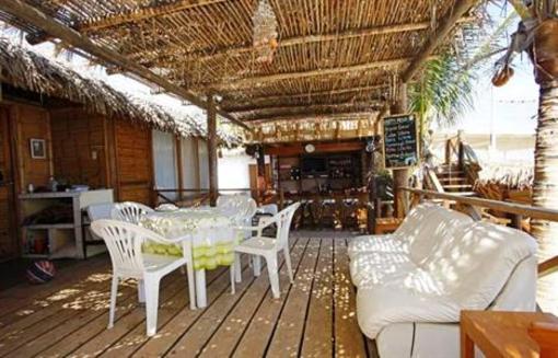 фото отеля Hotel Playa Palmeras