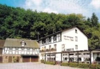 фото отеля Landhotel Ringelsteiner Muhle