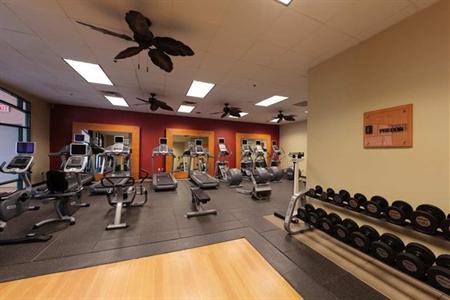 фото отеля Embassy Suites Hotel DFW Airport North/Outdoor World