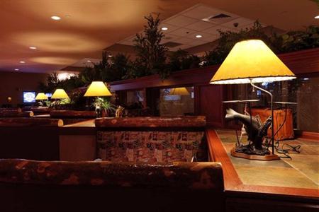 фото отеля Embassy Suites Hotel DFW Airport North/Outdoor World