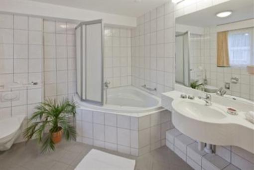 фото отеля Alex Hotel Naters
