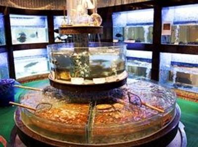 фото отеля Wu Xing Hotel