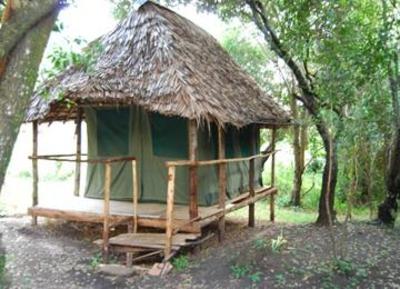 фото отеля Big Time Safari Camp