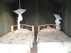 фото отеля Big Time Safari Camp