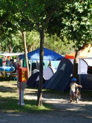 фото отеля Camping Rose