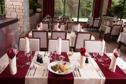 фото отеля Wellness Hotel Chopok