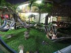 фото отеля Hostel Backpackers La Fortuna