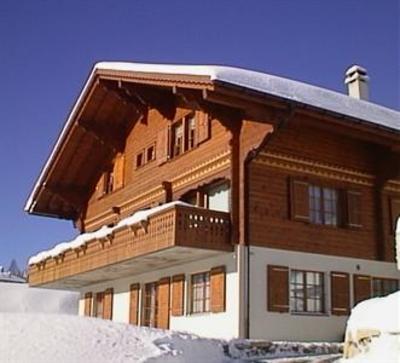 фото отеля Chalet Ermina Hotel Leysin