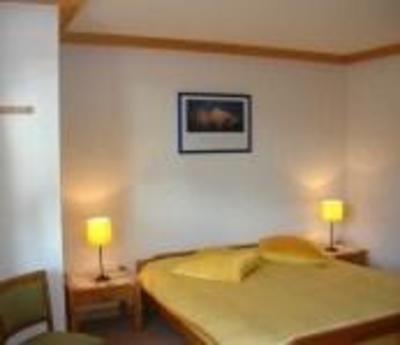фото отеля Chalet Ermina Hotel Leysin