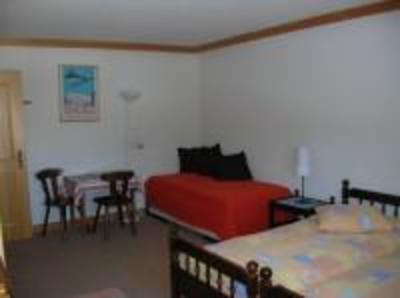 фото отеля Chalet Ermina Hotel Leysin