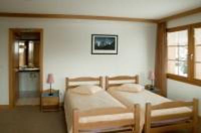 фото отеля Chalet Ermina Hotel Leysin