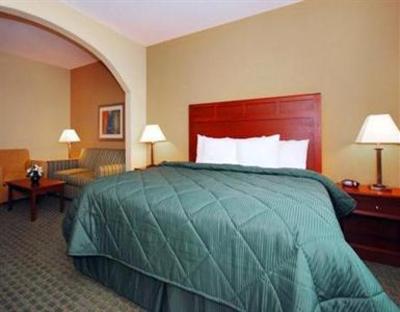 фото отеля Holiday Inn Atlanta Downtown