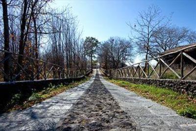 фото отеля Bosco Ciancio