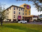 фото отеля Comfort Suites Golden Isles Gateway