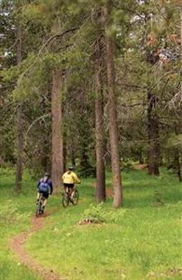 фото отеля Tahoe Mountain Resort Lodging Catamount Lodge