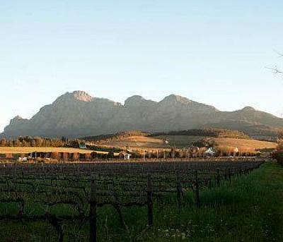 фото отеля Paddabult Country House and Self Catering Cottages Paarl