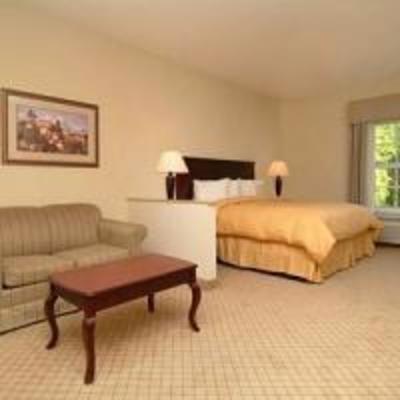 фото отеля Comfort Suites Bluffton