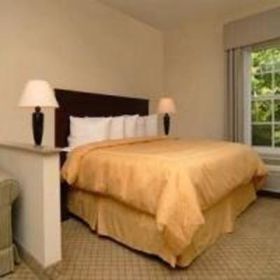 фото отеля Comfort Suites Bluffton
