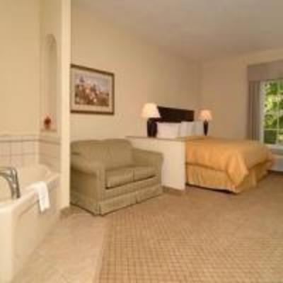 фото отеля Comfort Suites Bluffton