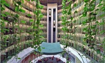 фото отеля Hotel Don Candido